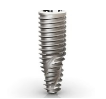 ストローマン エコノミー